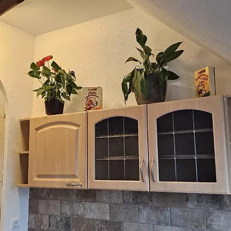 Seensucht & Urlaubstraeume, 